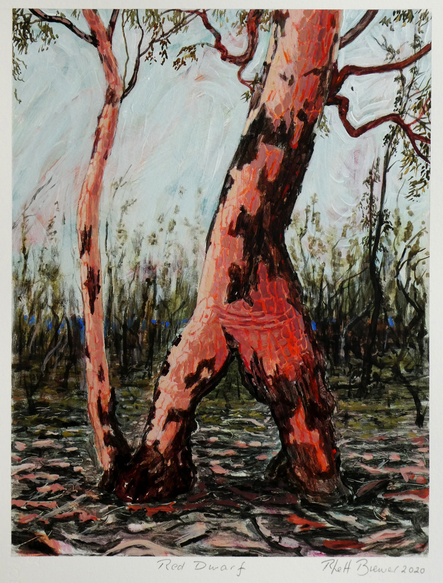 Red Dwarf , 39cm x 28cm, acrylic on 649 g.s.m. watercolour paper, 2020
